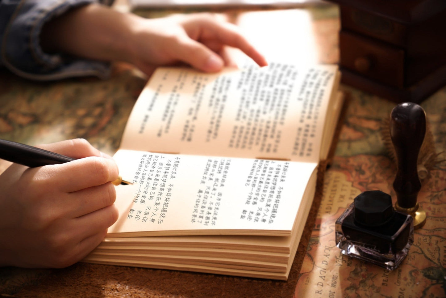 Caderno TerraLume – Onde as Ideias Ganham Corpo