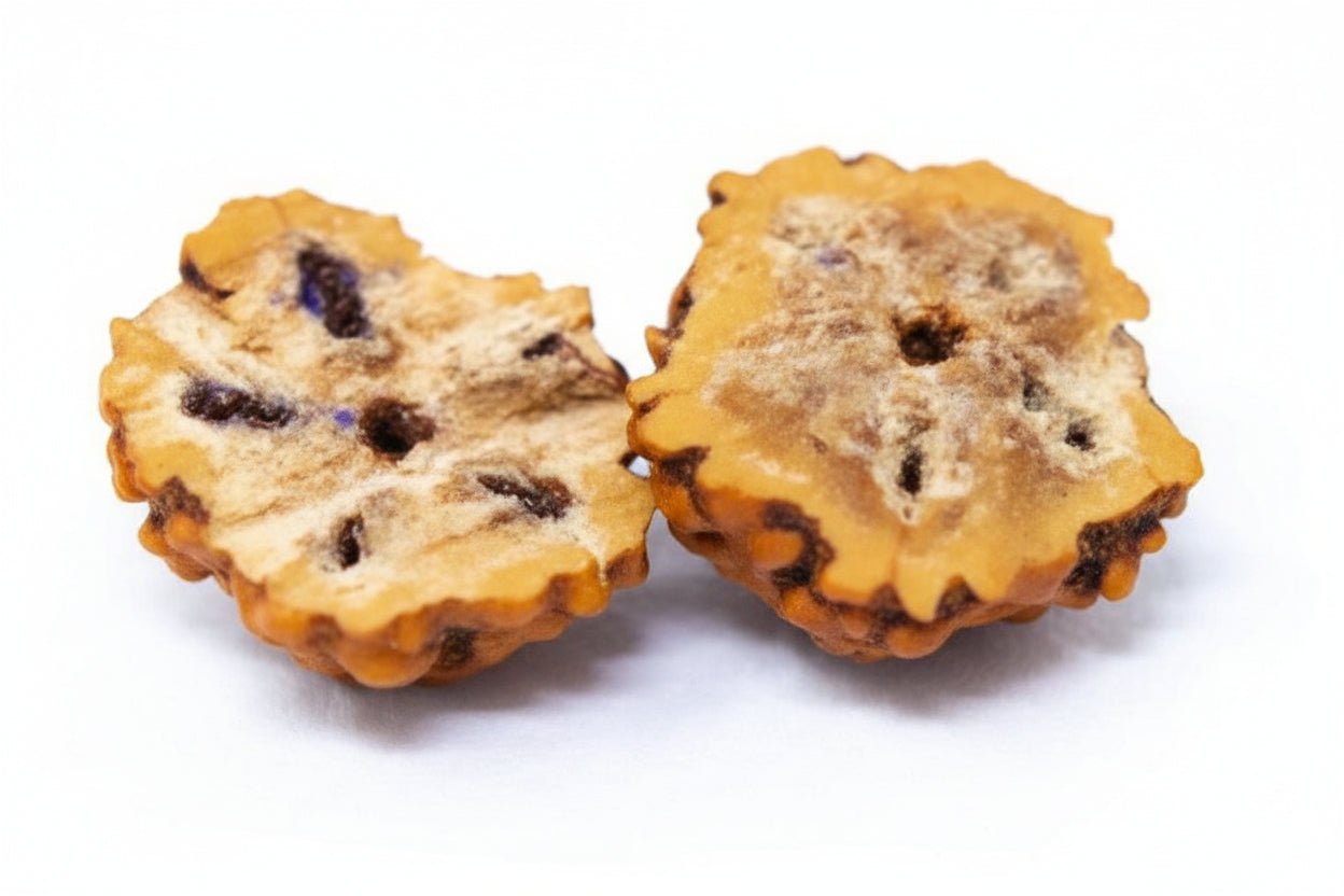 Alma Rudraksha – Conjunto Natural para Equilibrio y Claridad
