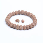 Shakti Seed — Pulsera de Semillas Bodhi Purificadas a Mano