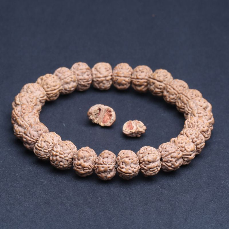 Shakti Seed — Pulsera de Semillas Bodhi Purificadas a Mano