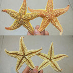 Stella Maris — Guide and Energy of the Waters